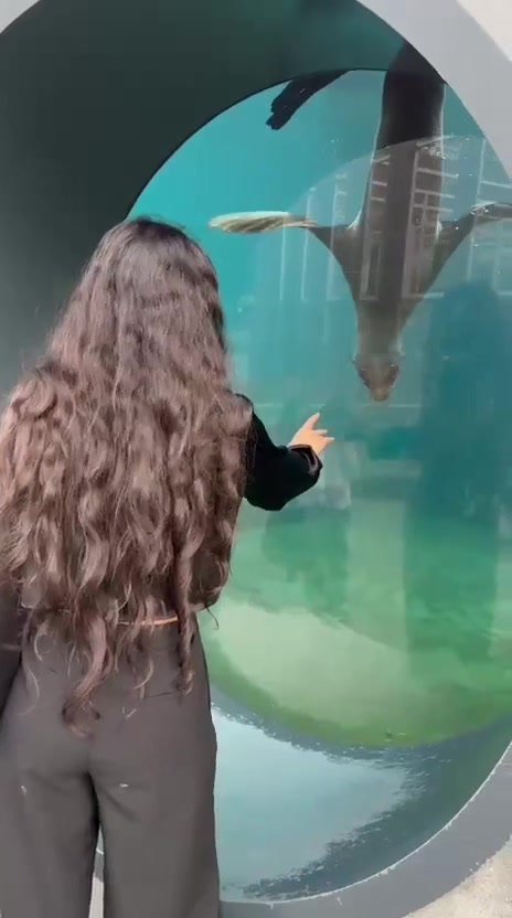 @Angelica_25