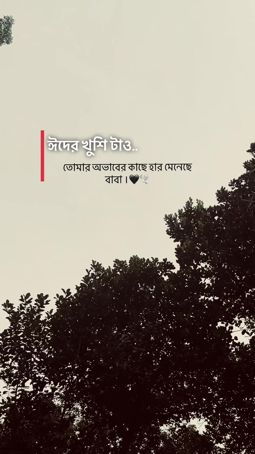 @ᴢꫝʜɪᴅ ••••••