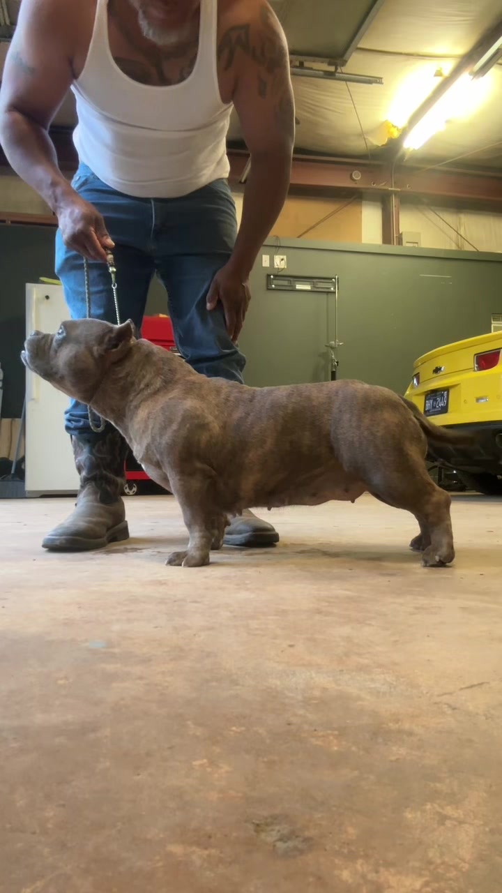 @Carters BullyHub