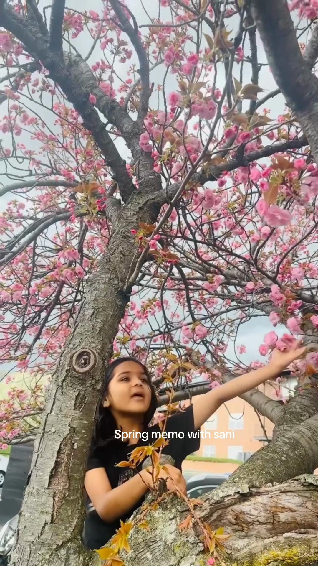 @Kabita Dahal Bhattarai