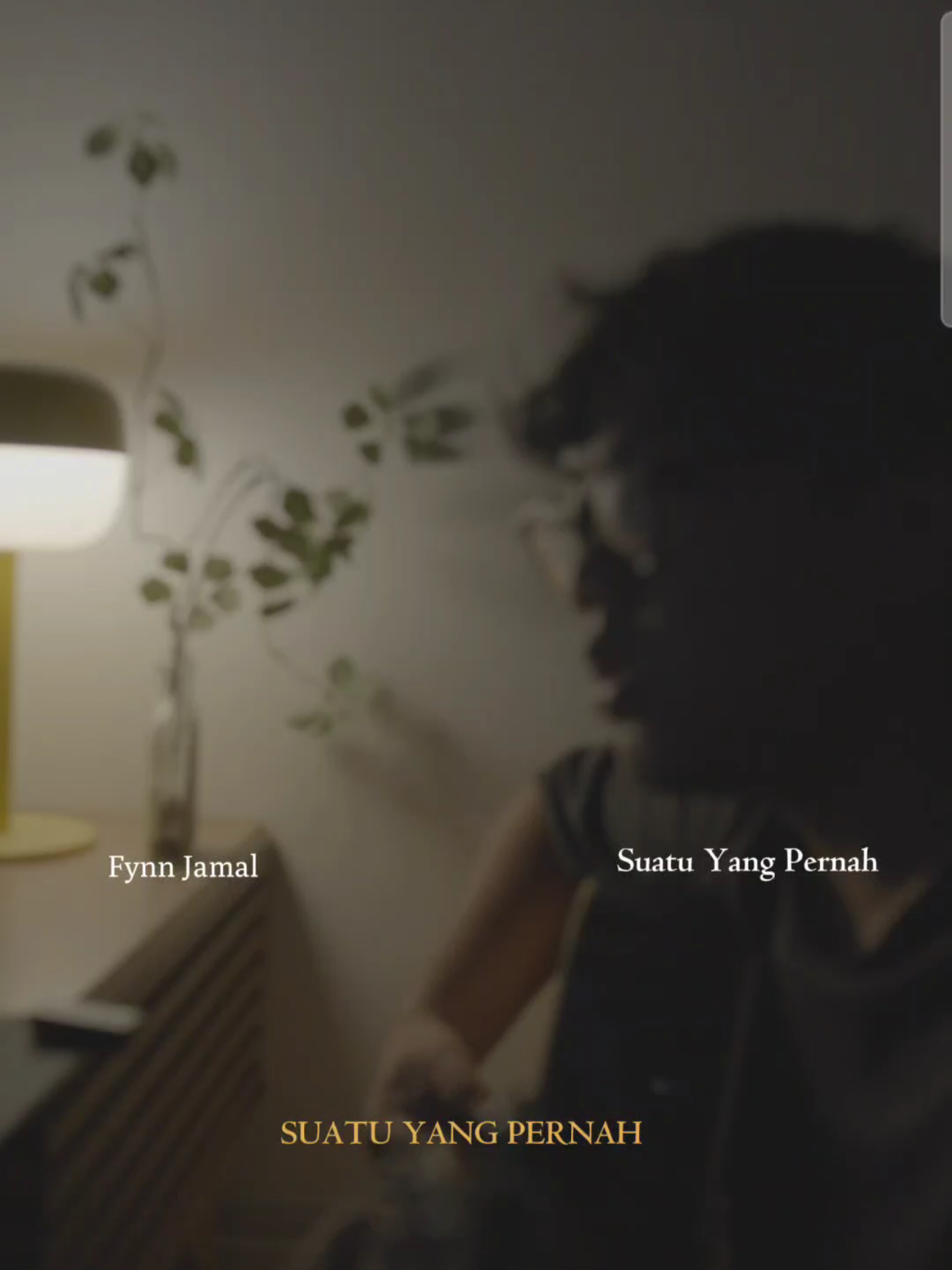 @Amir Johari
