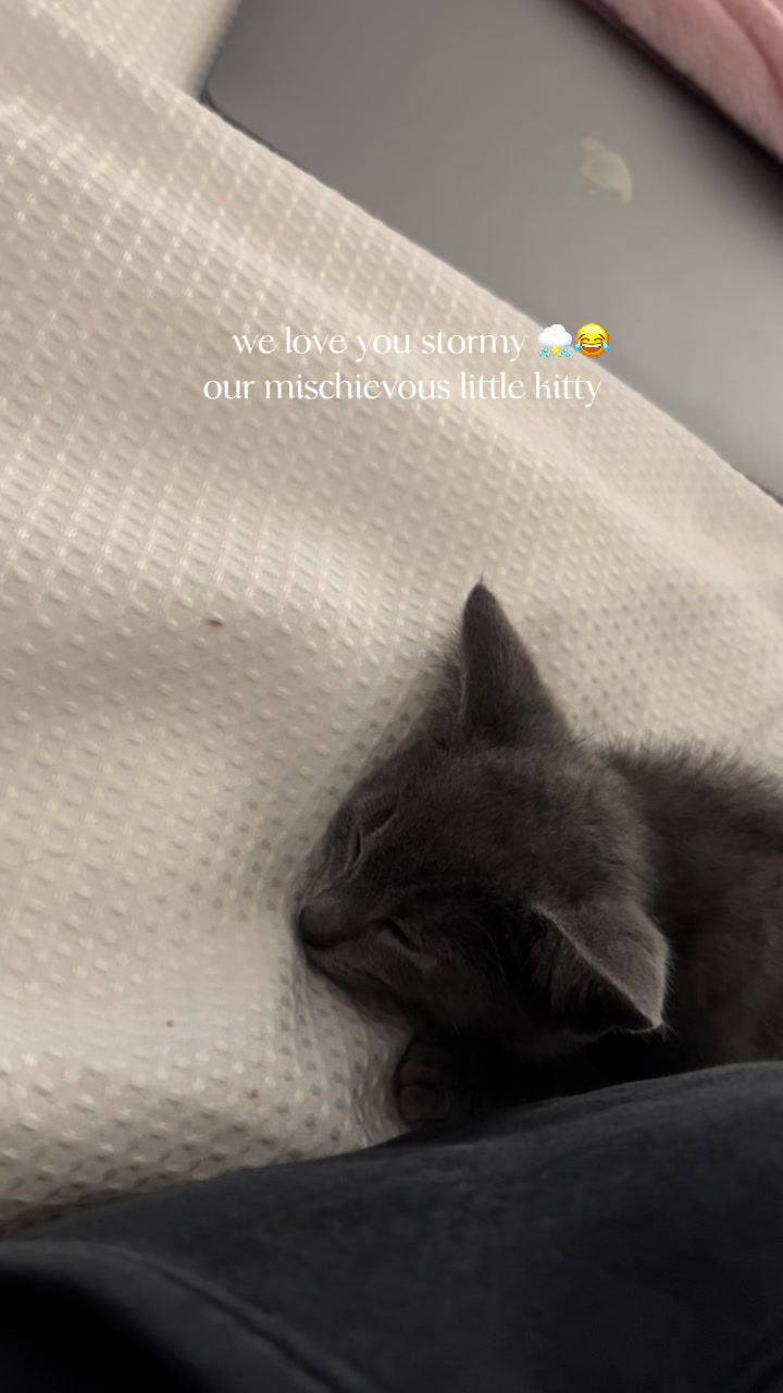 @𝐫𝐲𝐧𝐚 𝐚𝐧𝐝 𝐚𝐫𝐲𝐚𝐧