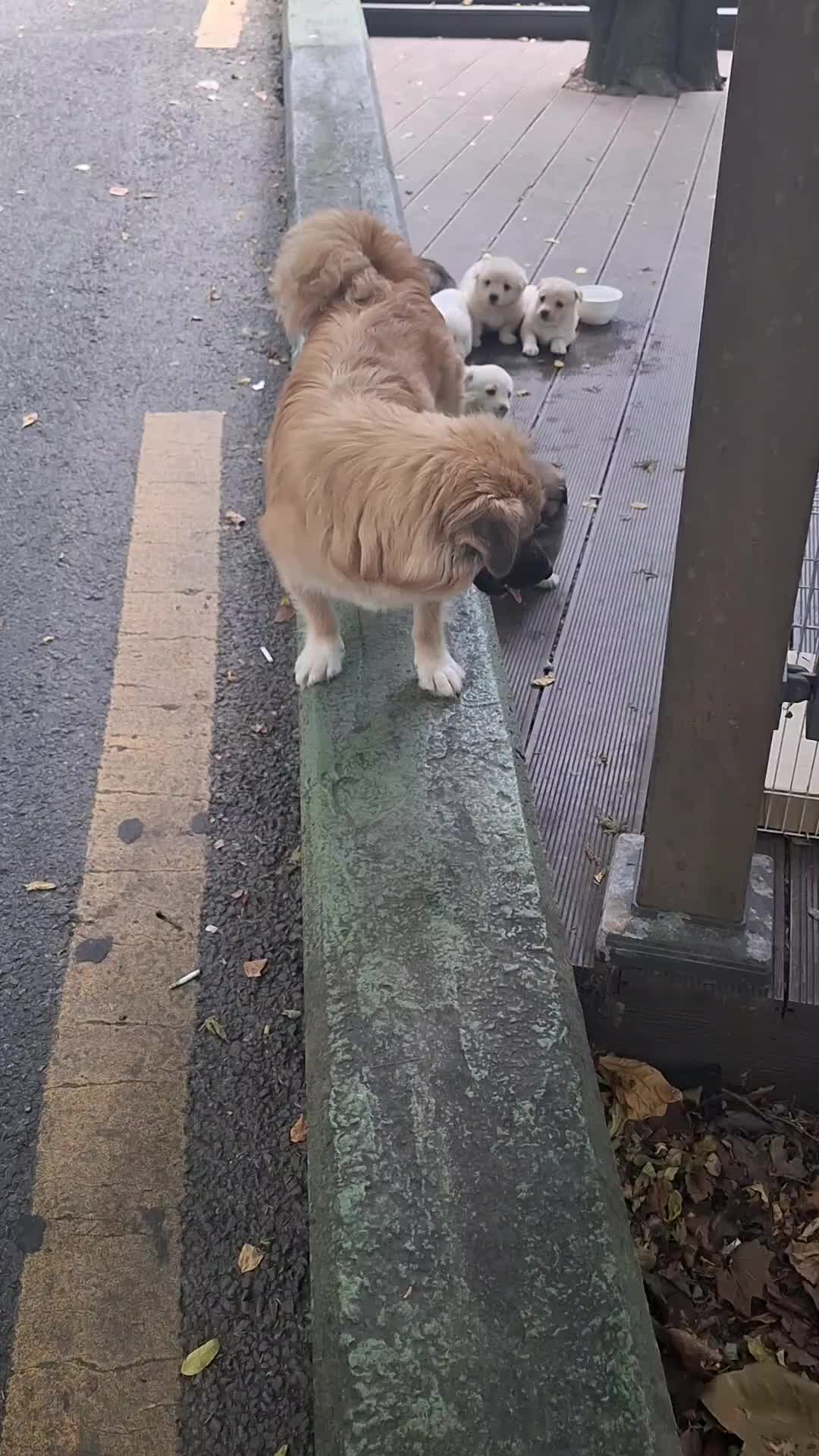 @땡이맘/헤어톡