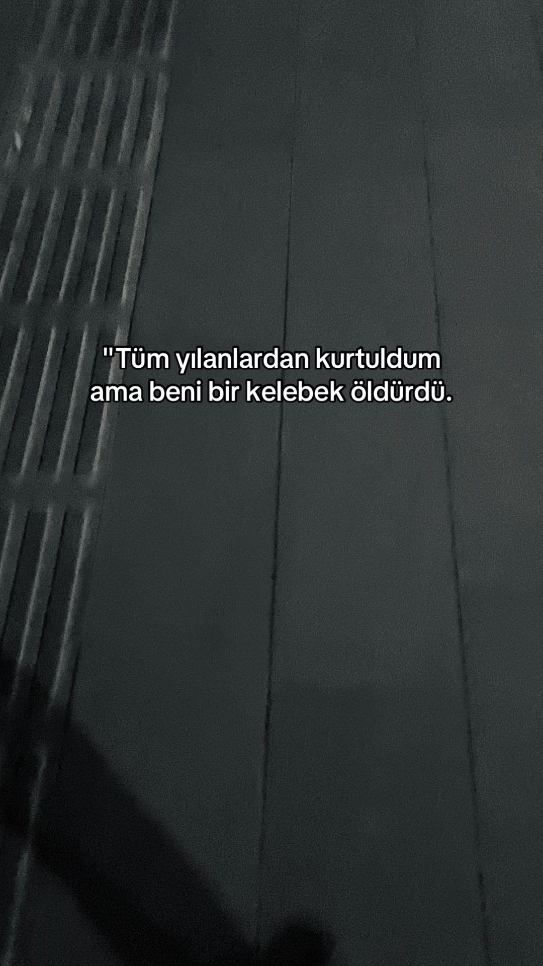 @🕊️