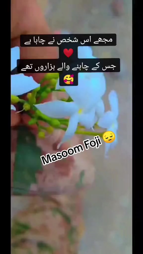 @โโโMasoom foji ๐โโโ