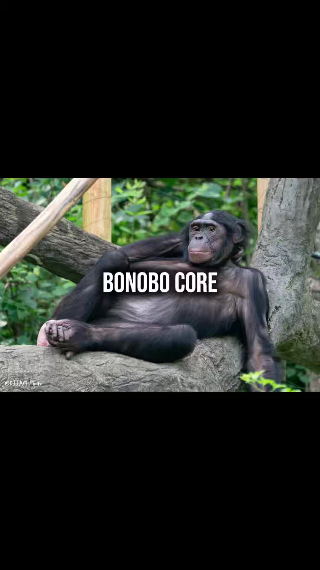@Dr.Ignant_BORNAGAIN