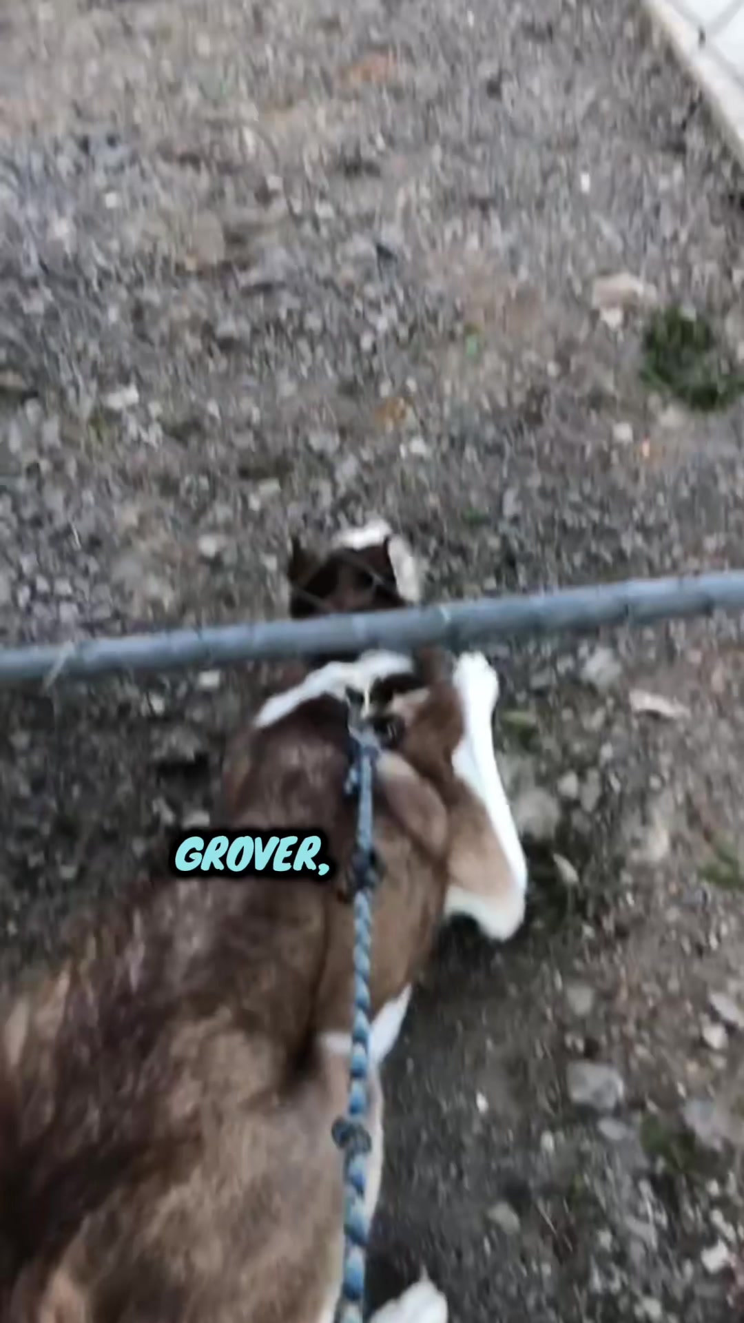@Grover