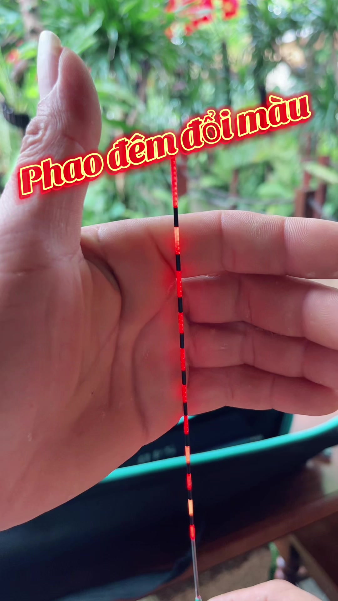 @Ngọc đăng đồ c&acirc;u