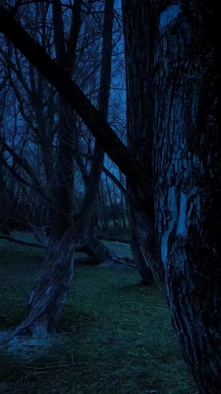 @𐙚˚࿔ 𝐒𝐔𝐍𝐅𝐋𝐎𝐖𝐄𝐑