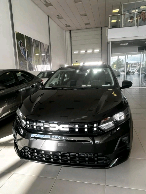 @commercial dacia renault ww