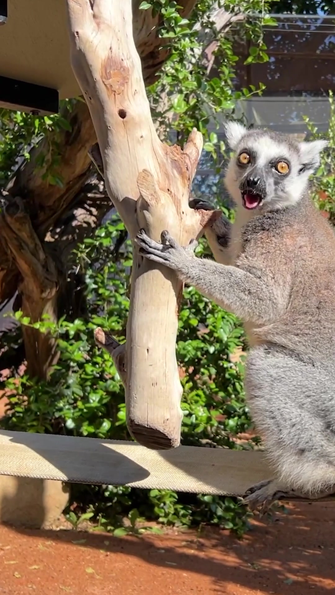 @Perth Zoo