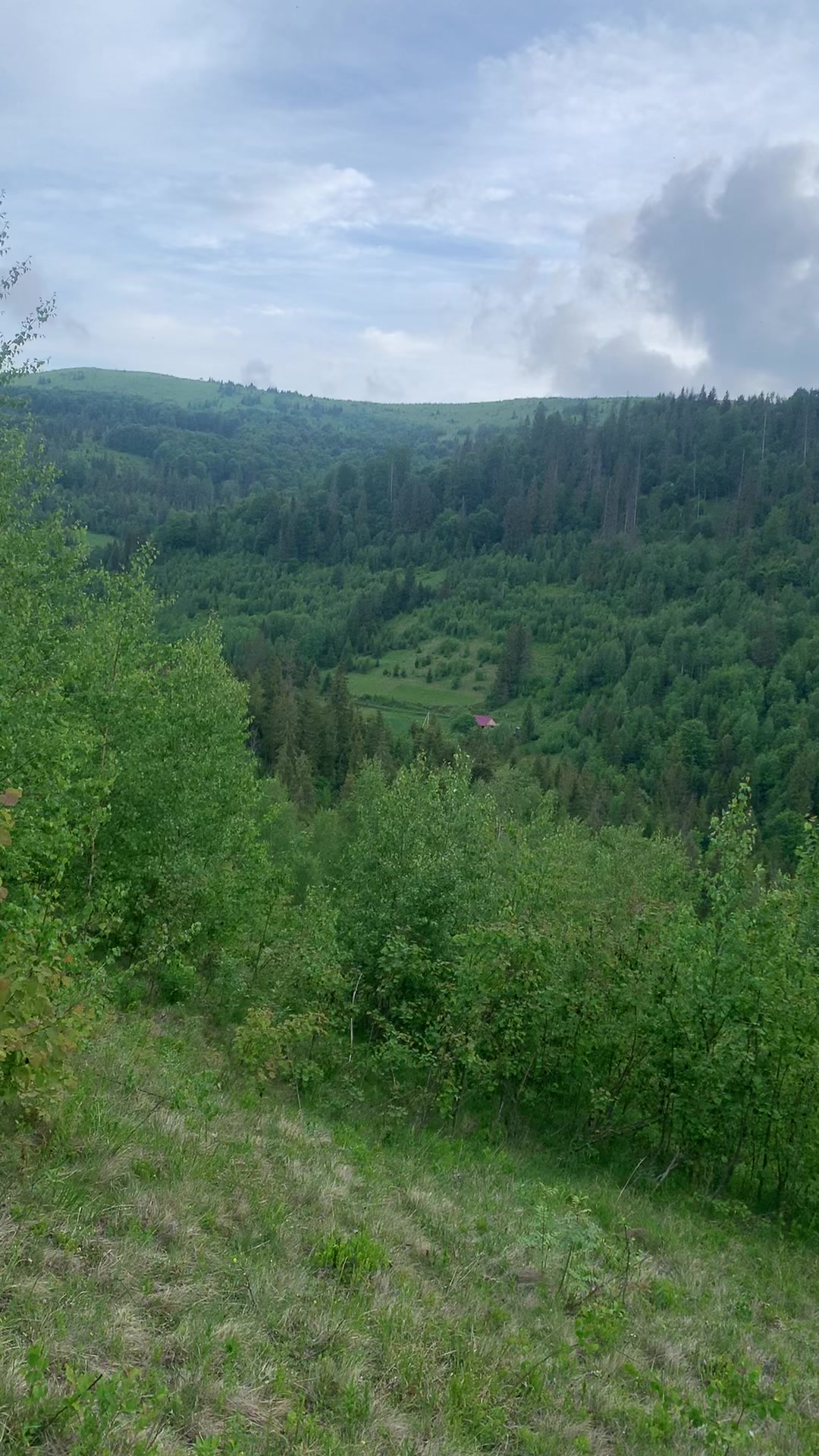 @vasil_piniv