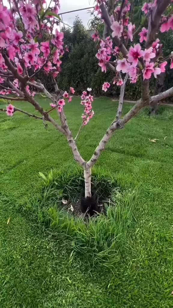 @حسين_العظيمي