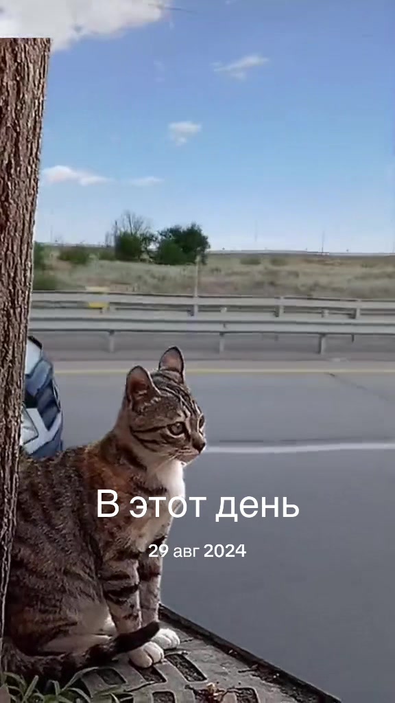 @datkha5