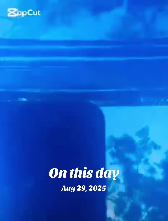 @Rashi_💔🥀