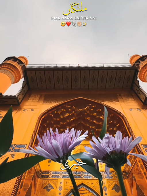 @𝐙𝐀𝐈ن𝐀𝐛ރ