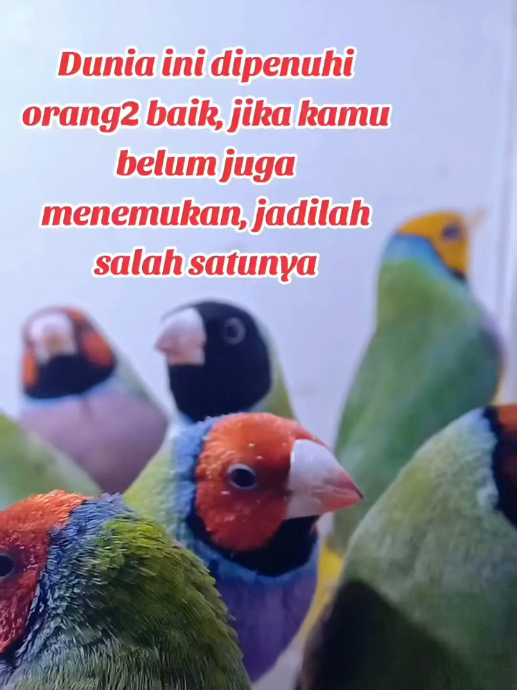@Ikin Finch