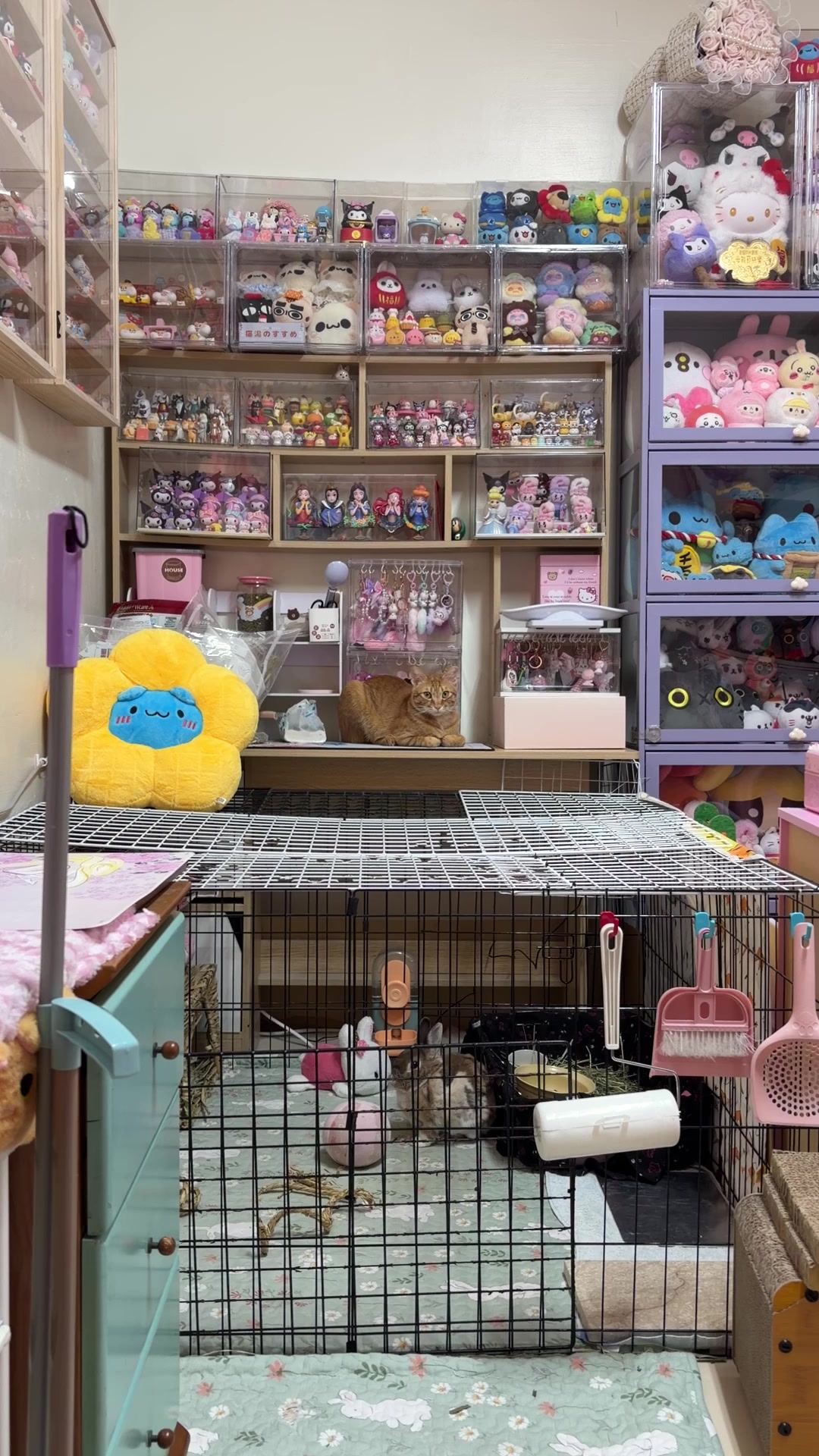 @王米米