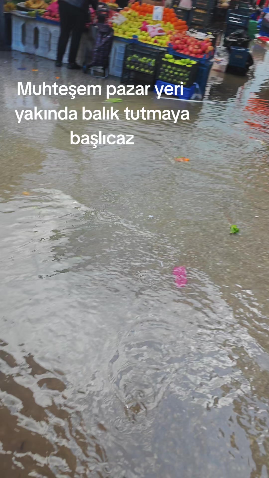 @Alan Tarım &Uuml;r&uuml;nleri 🥗