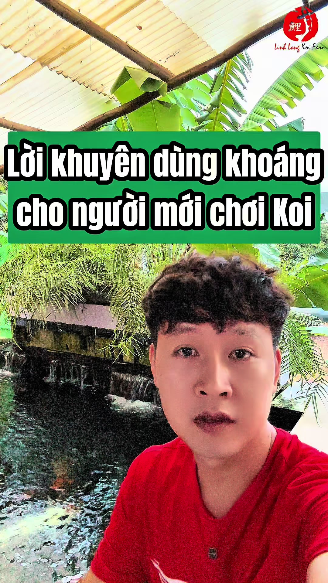 @Linh Long Koi Farm