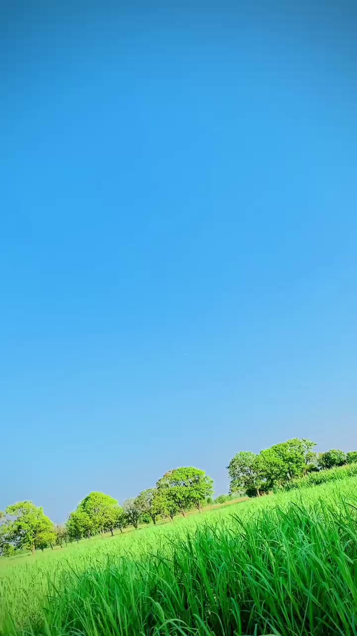 @꧁☆☬ASHOK THAKOR☬☆꧂