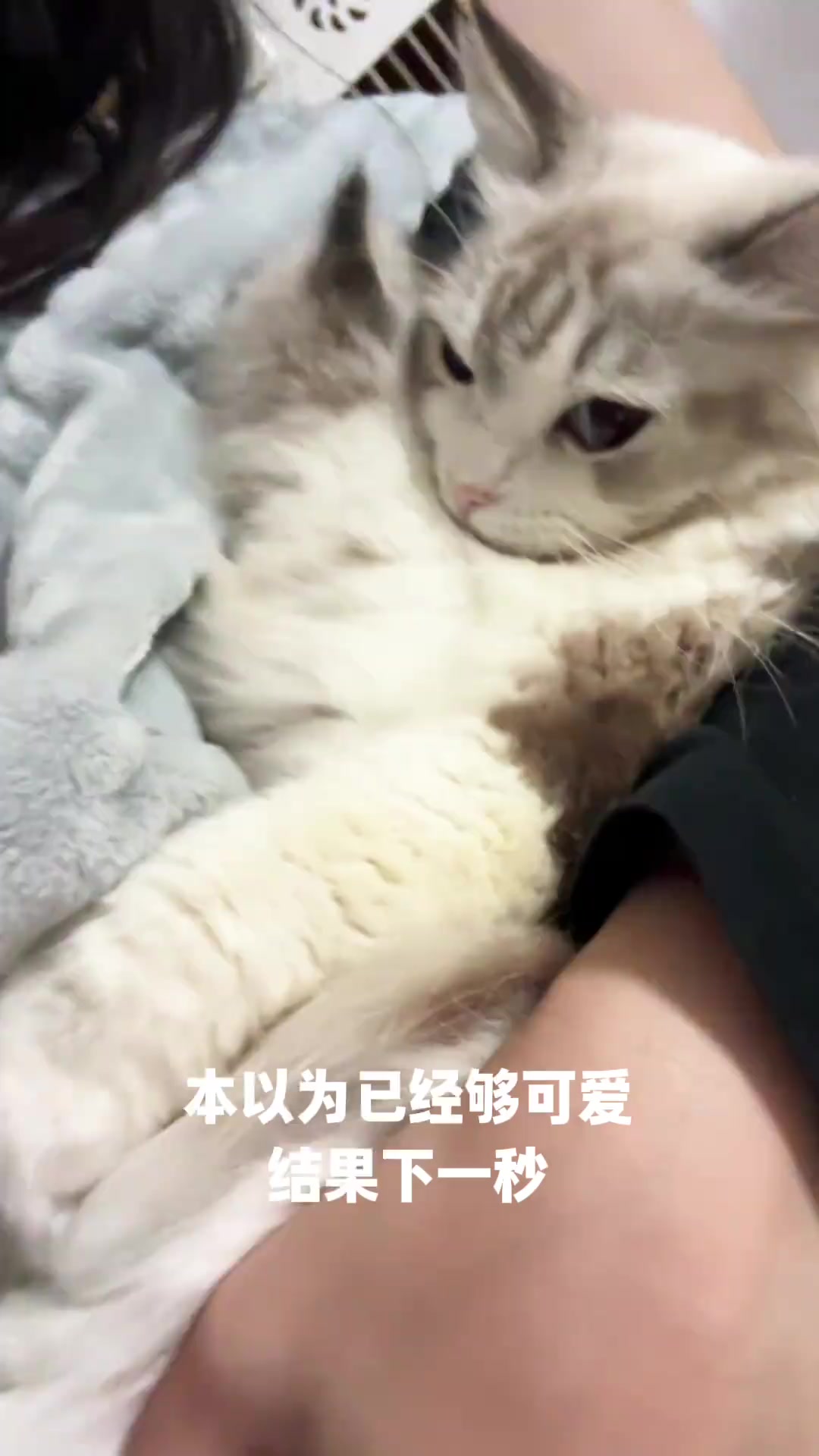 @平凡無奇