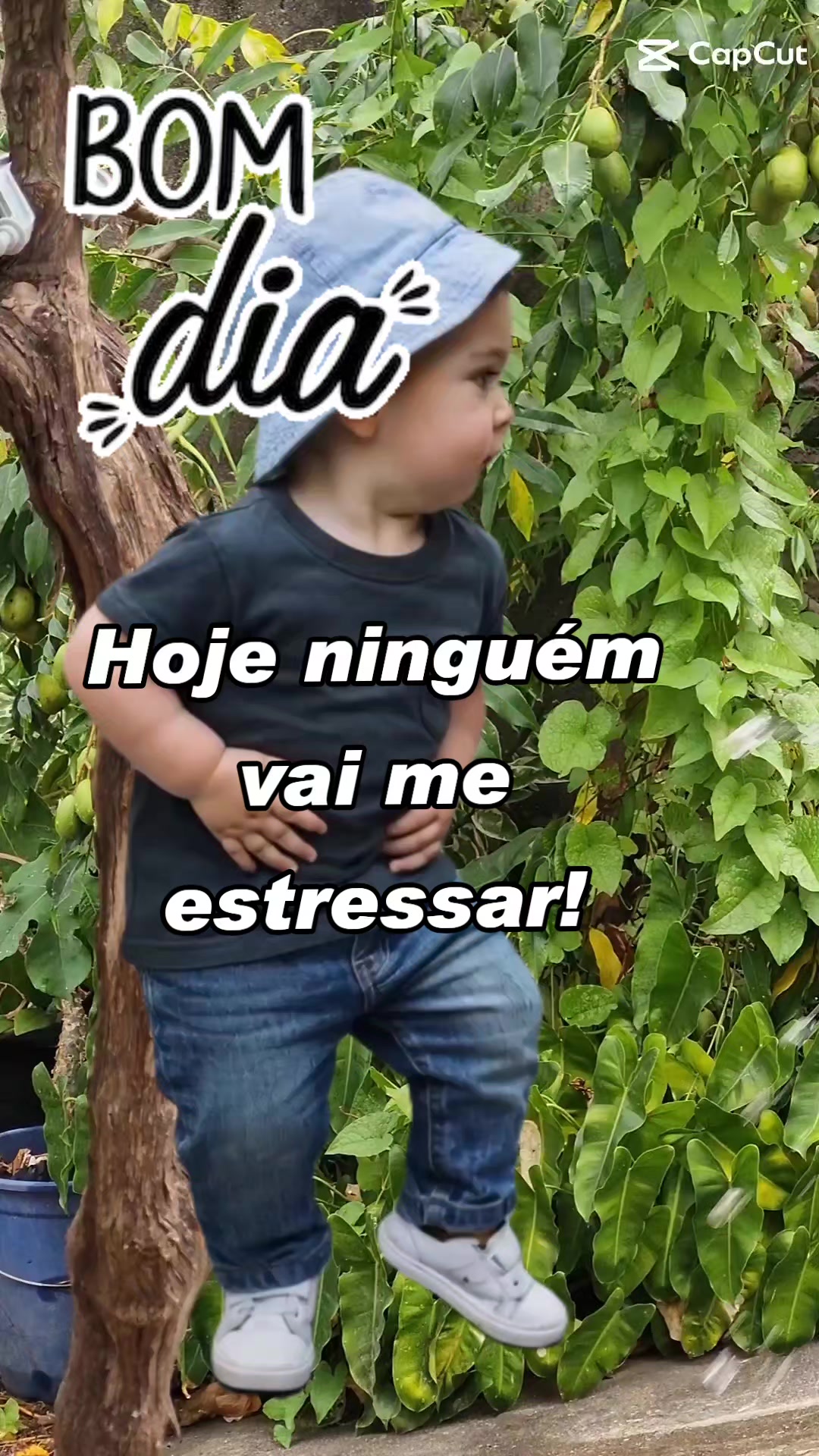 @Cleo-Brasil