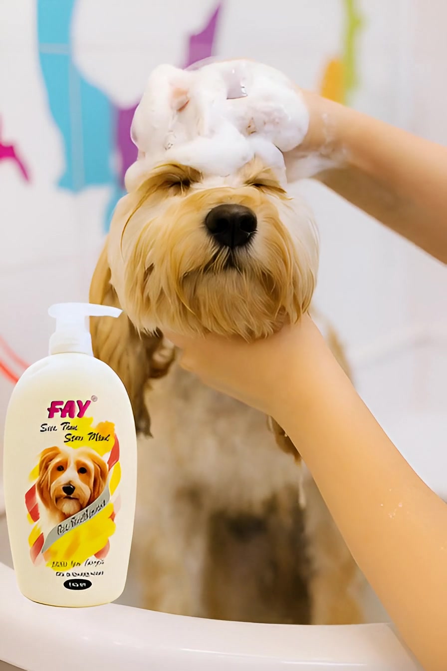 @PetCare