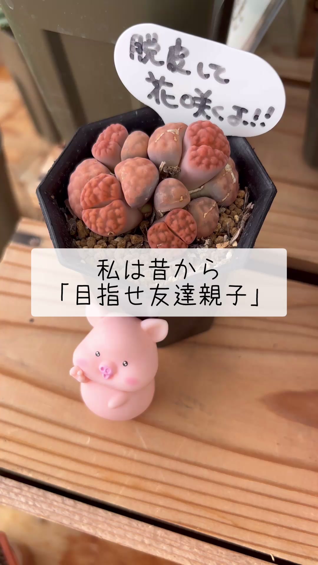 @さきゅまる～こぴとSHOP
