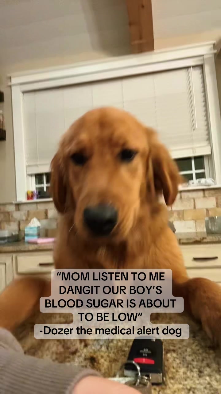 @Heather ||| T1D mom