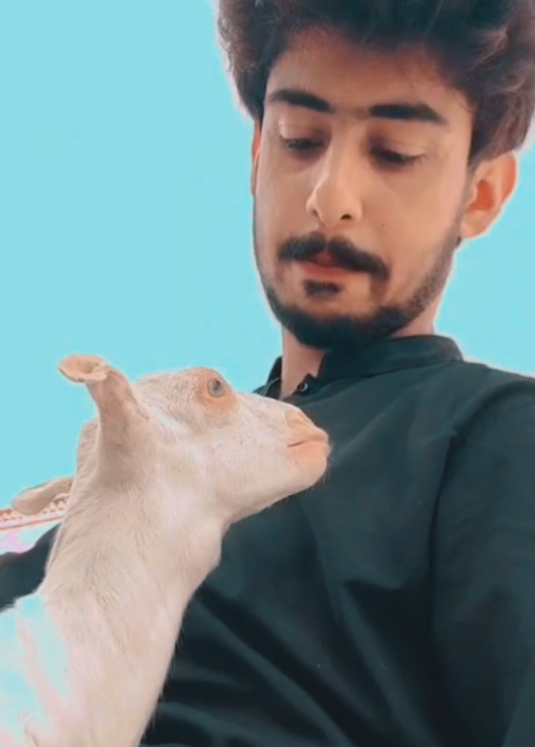 @عــاطـفـــــــ نــہـالـکــــہ