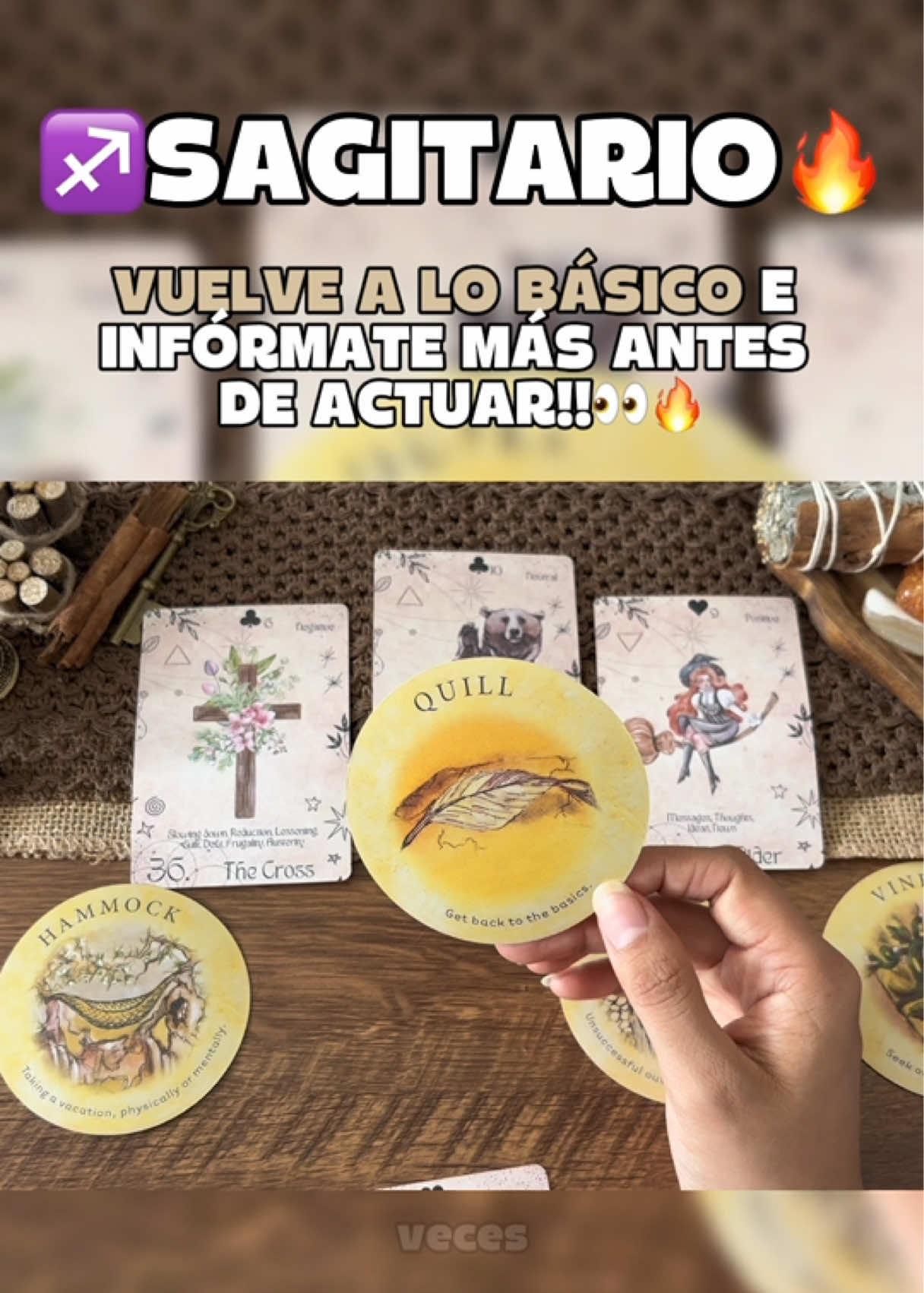 @Andy Sun Tarot ☀️