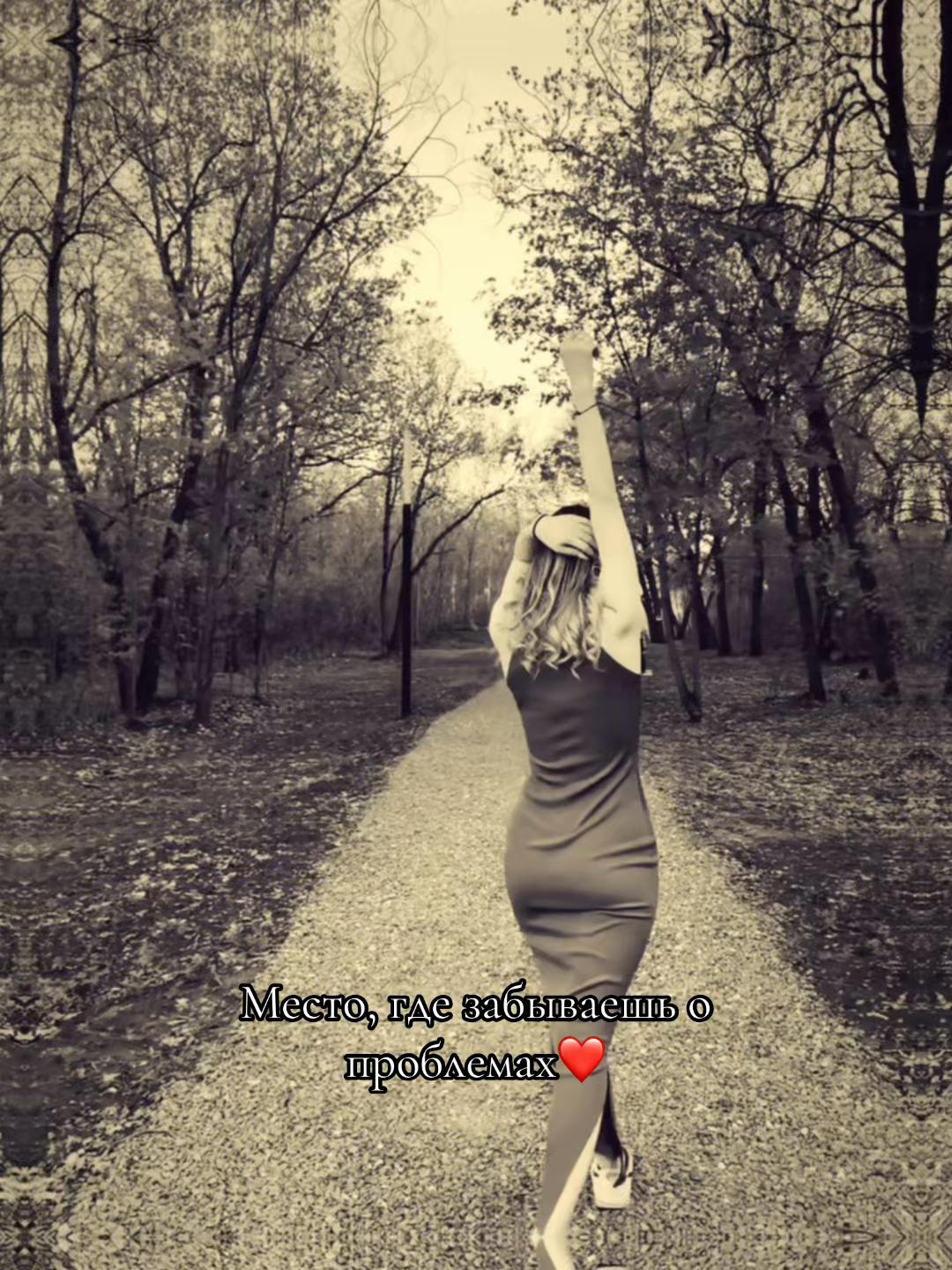 @dshikwwz