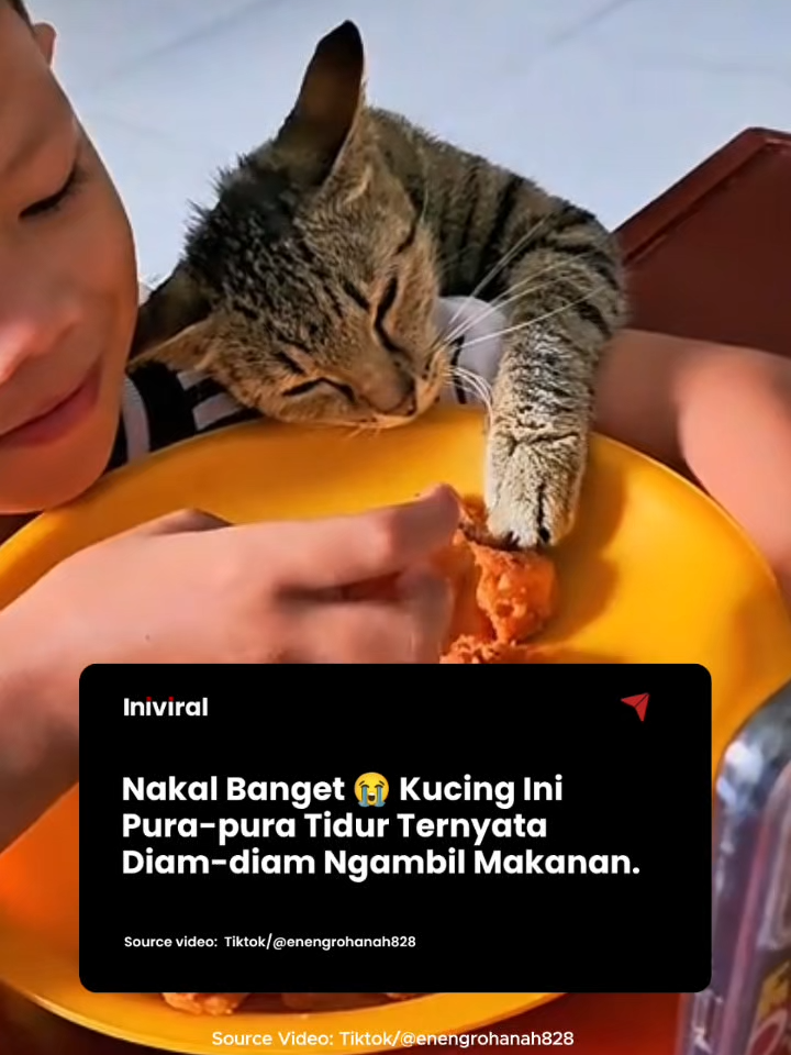 @Ini Viral