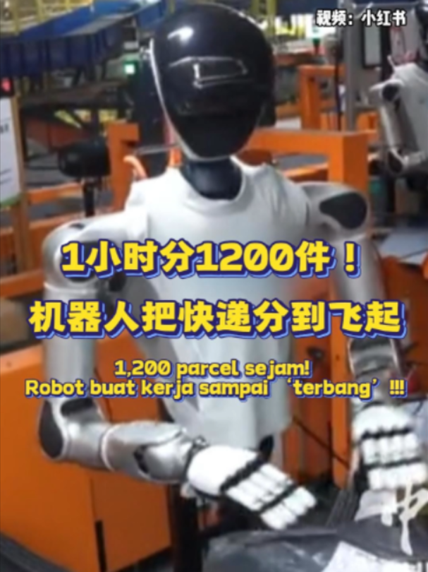@中国报