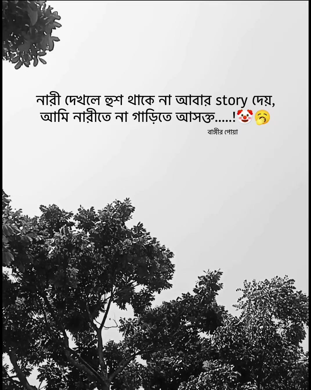 @đđđđĸđ
đ¤