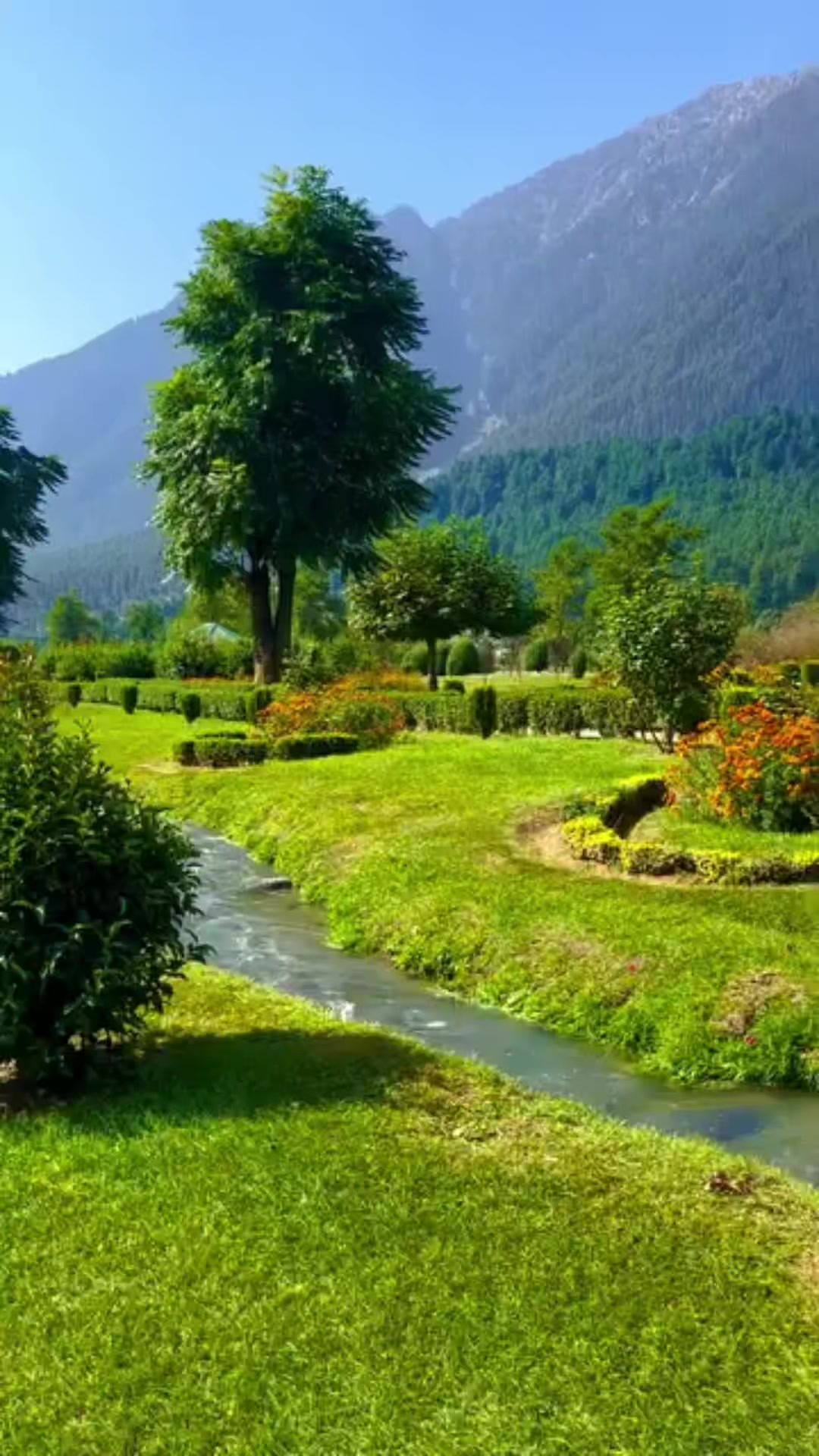 @Dev Narayan Sada225