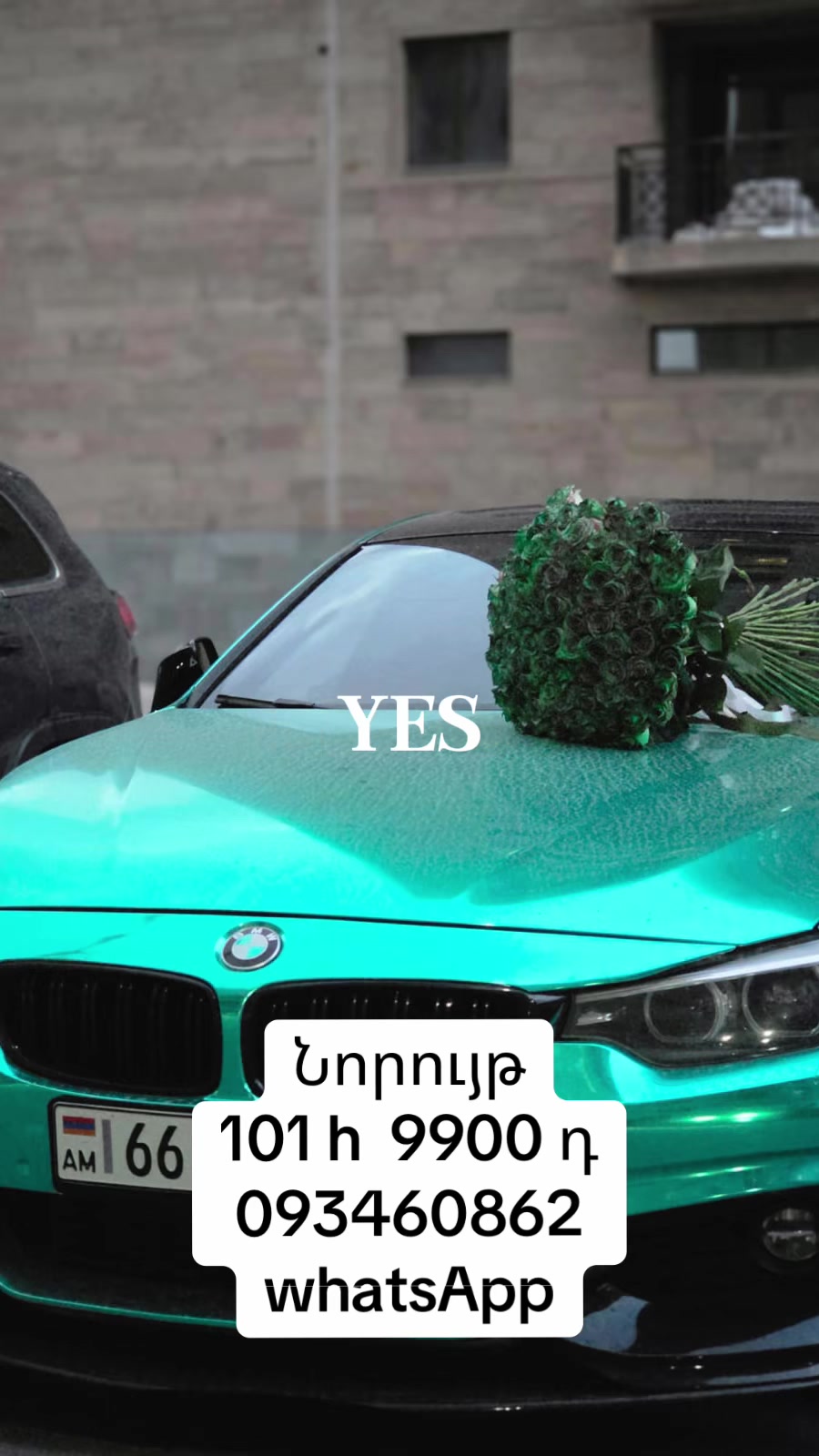 @Ծաղիկներ&ensp;Melex