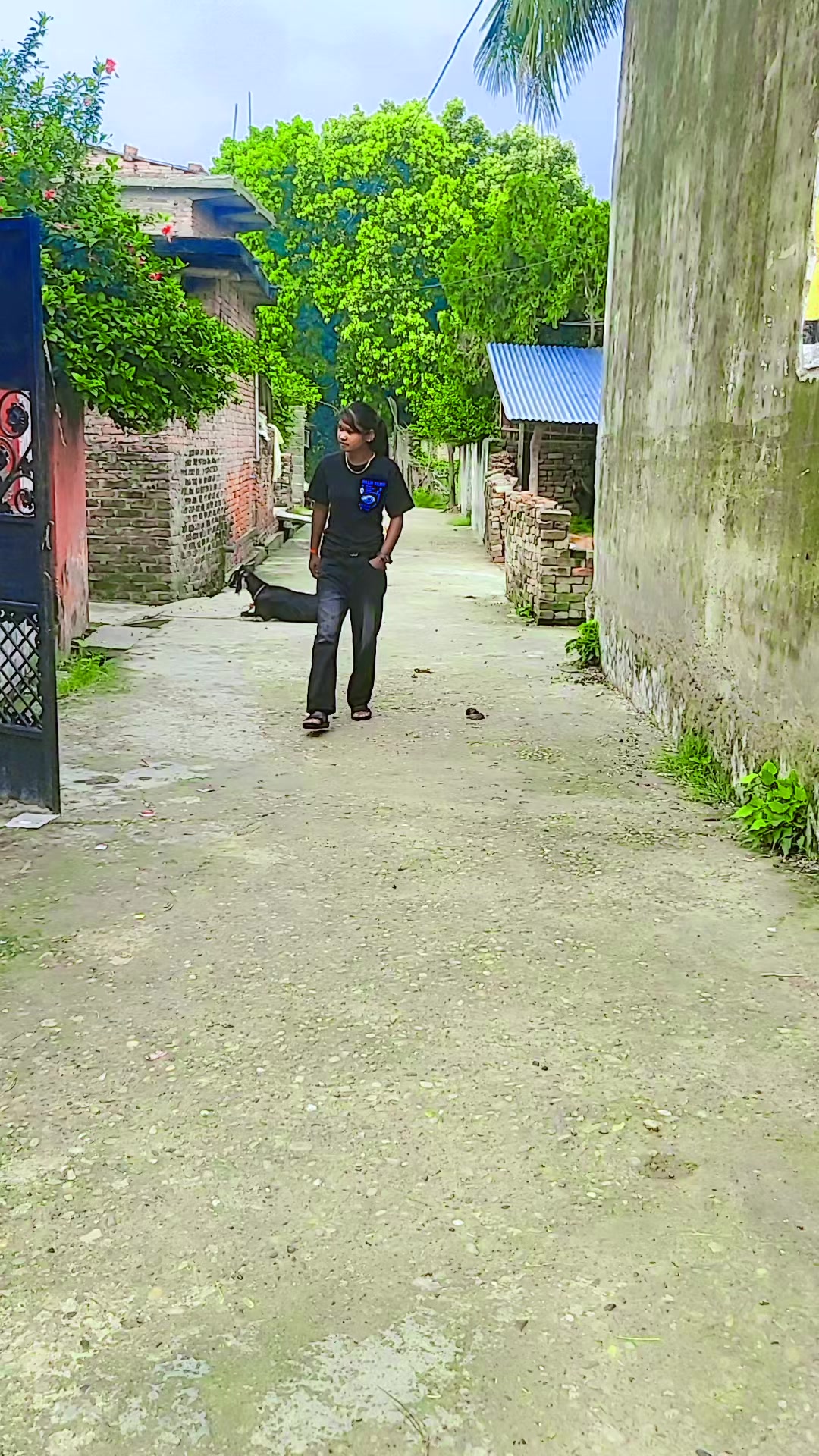 @pagali ji 🥰❤️🩹