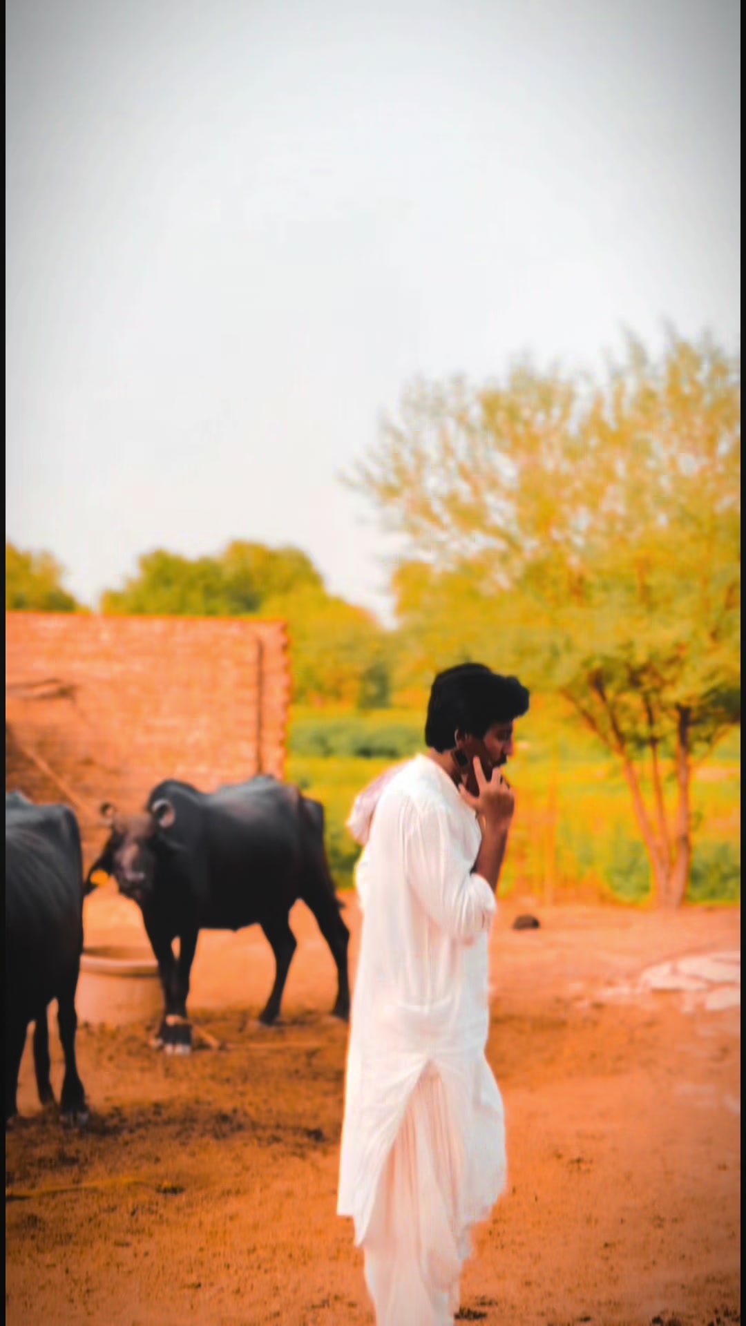 @wajid_keerio_🇱🇾