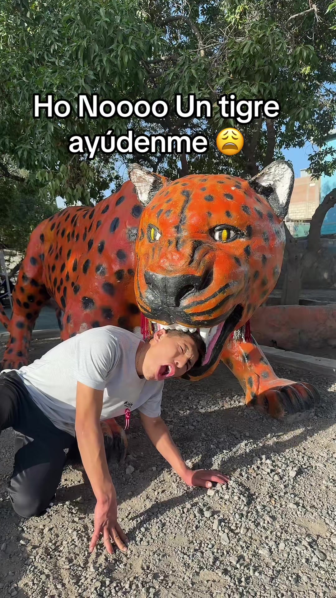 @🦅José parejo🇵🇪🐆💛
