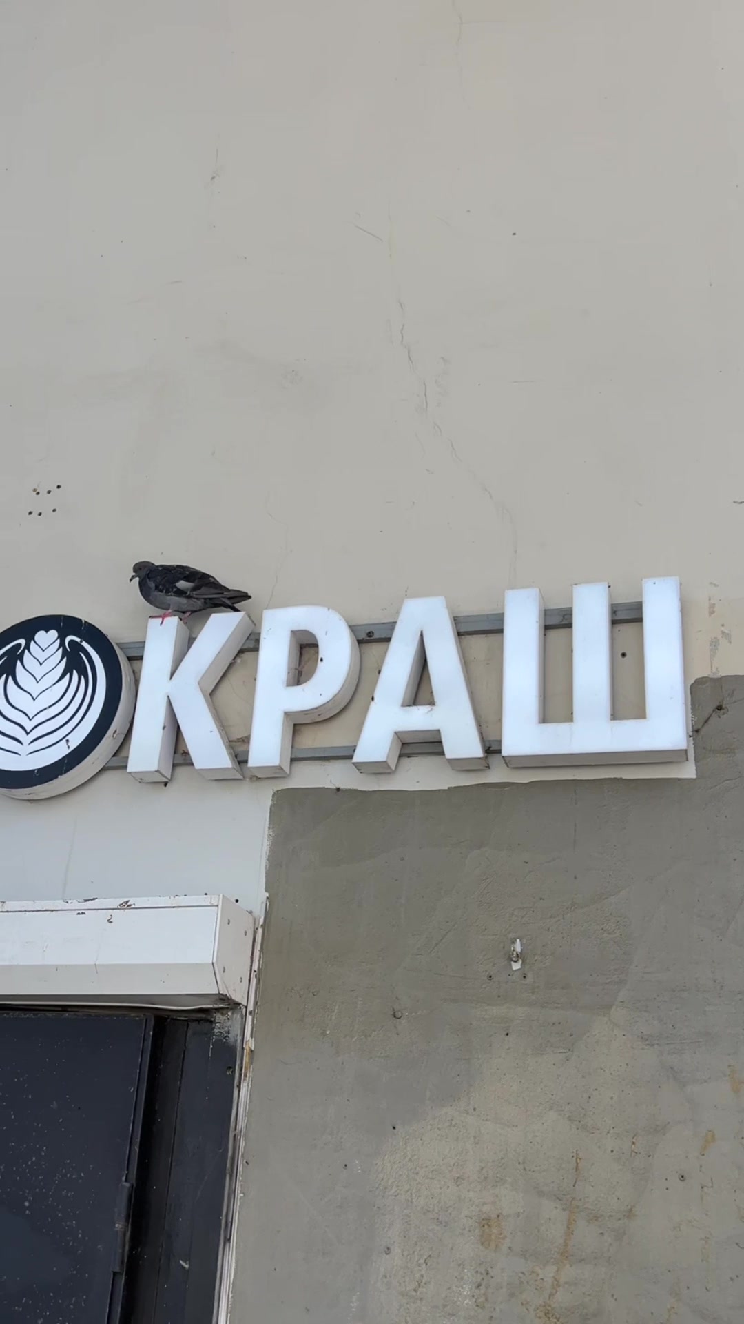 @дима яндекс&reg;️