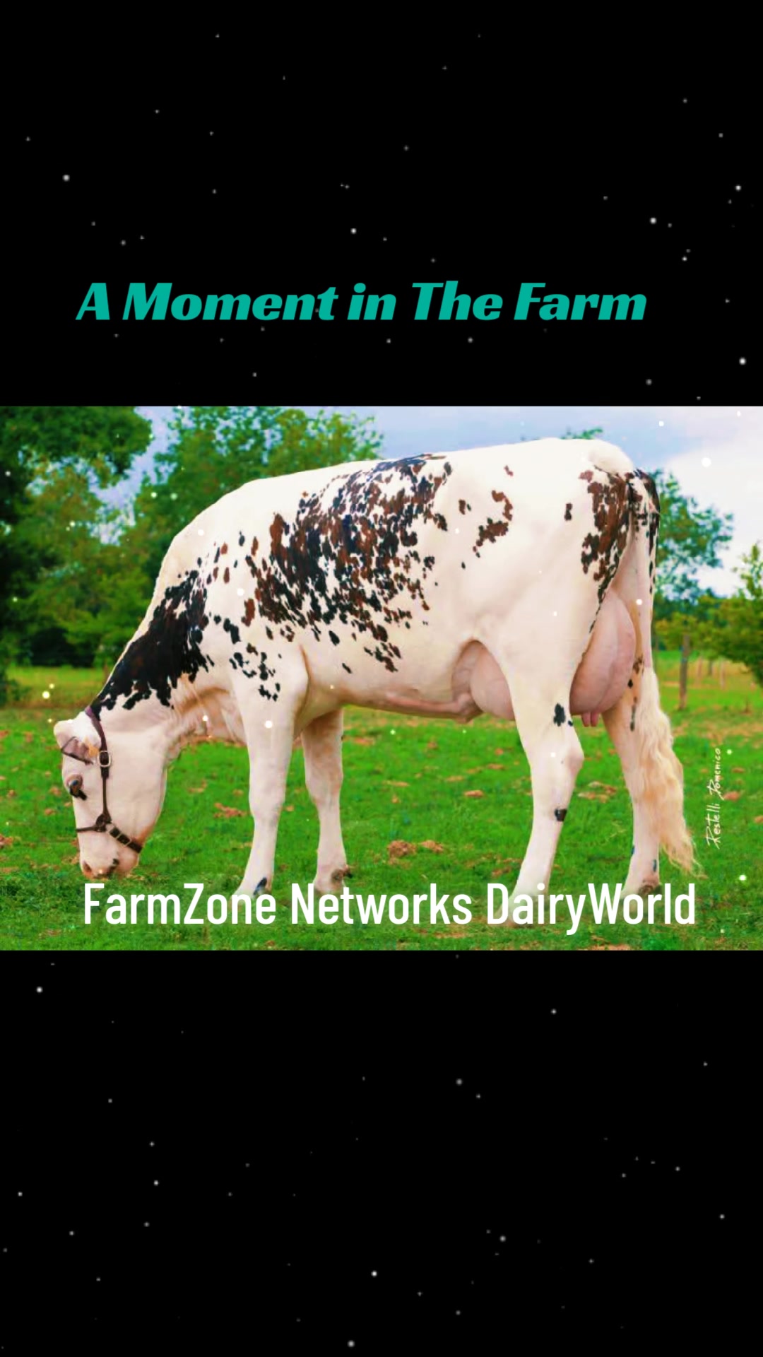 @FarmZone Networks&trade;
