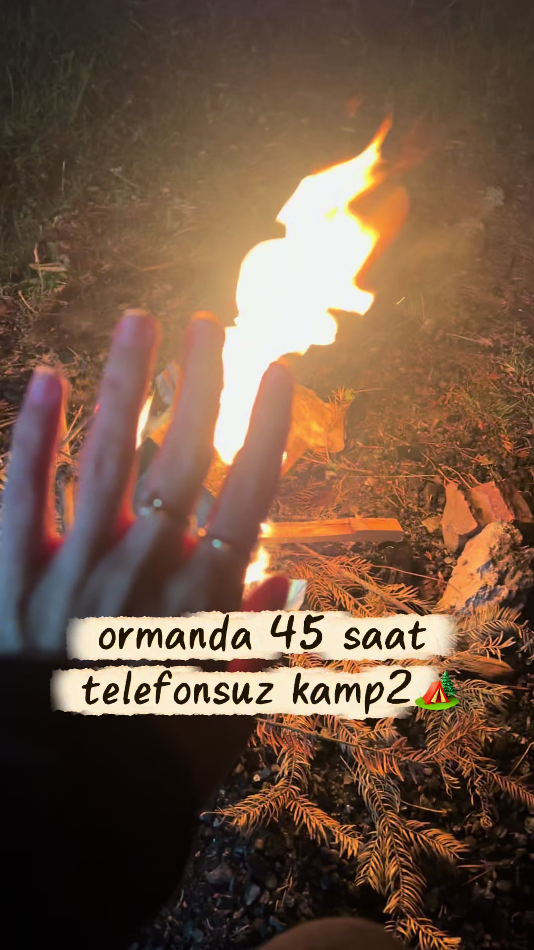 @Aslı Tezel
