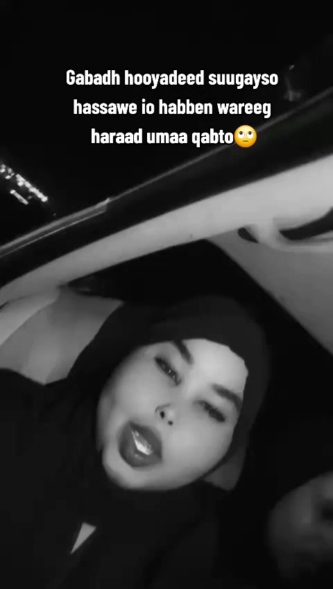 @Alhaan amisha🦊
