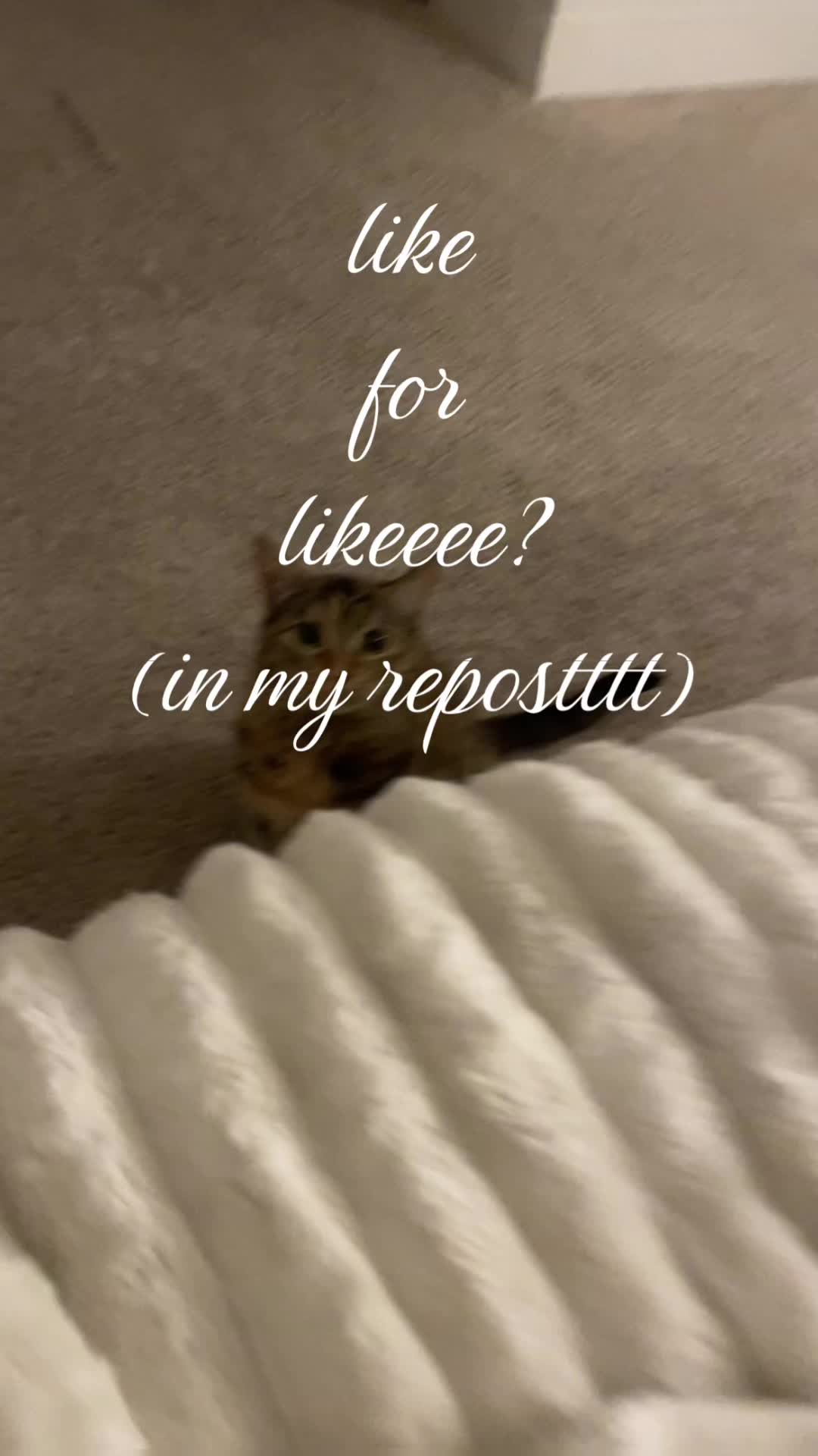 @pinksparkles