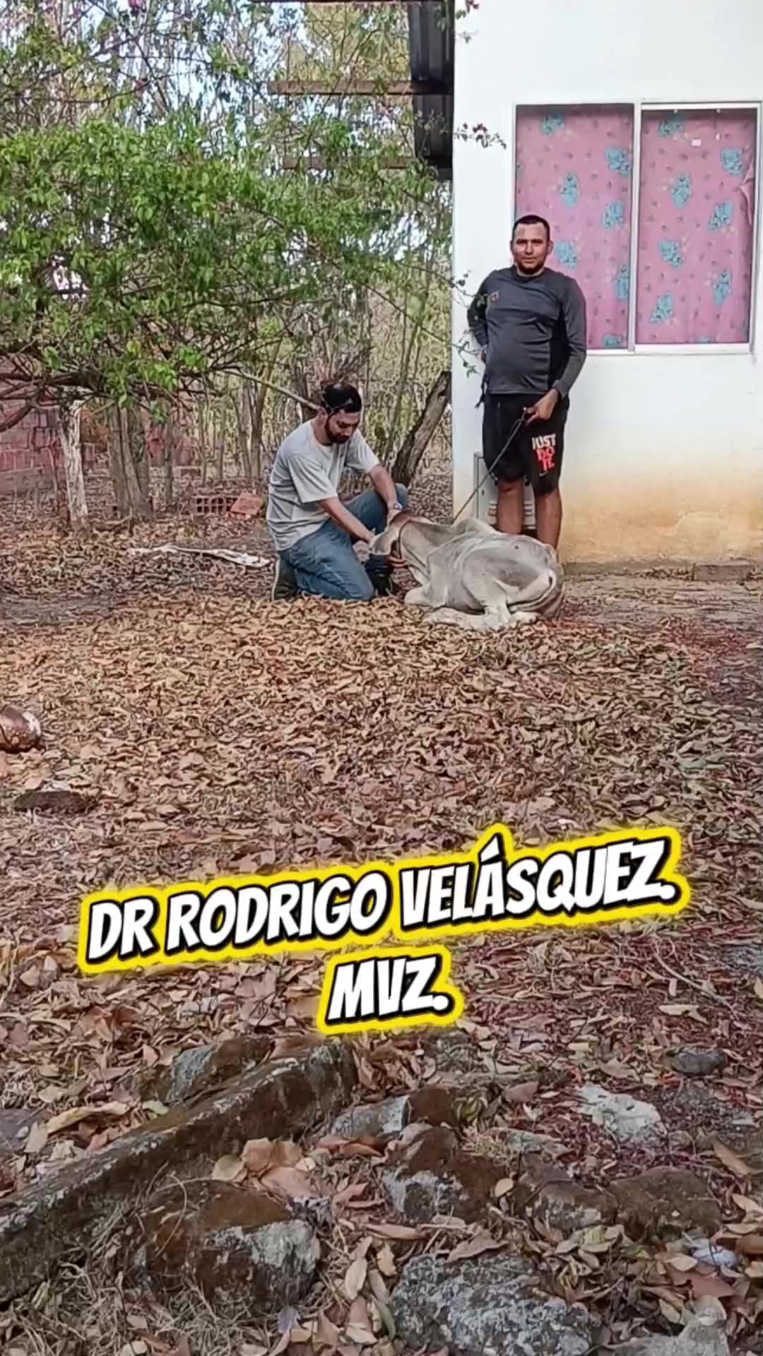 @Dra Paocas