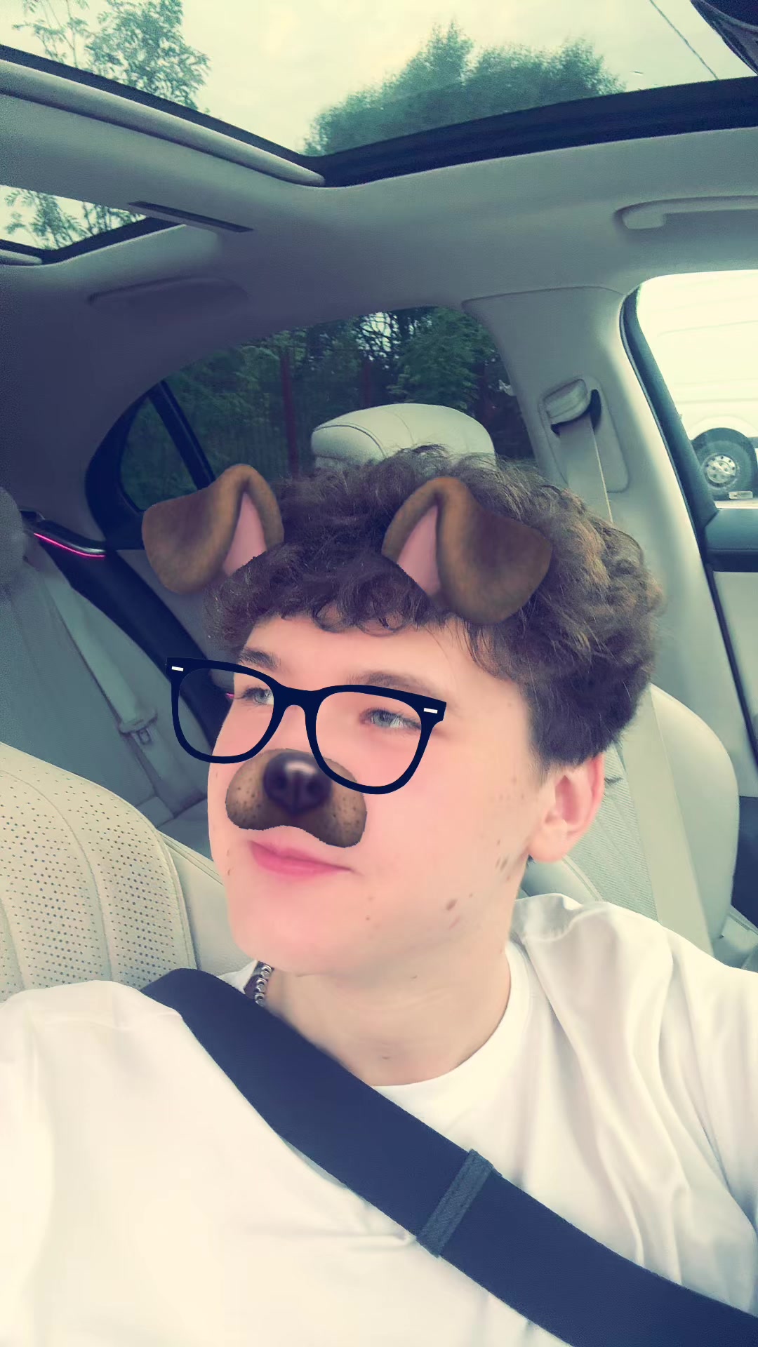 @bulkanovtsy