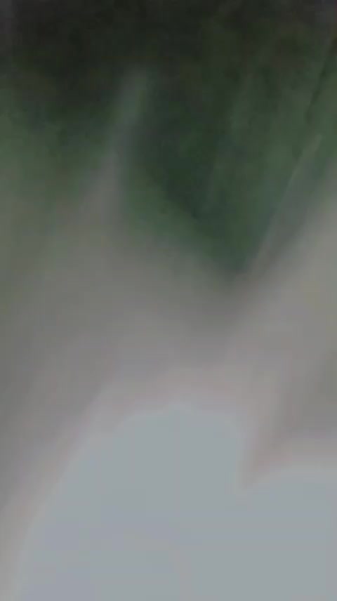 @marala čh&atilde;mp 46
