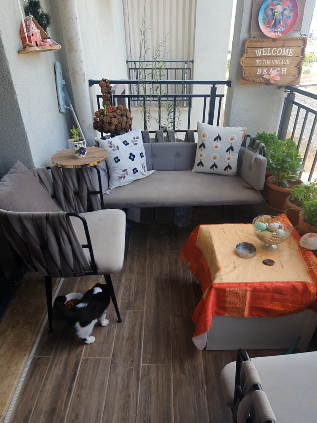 @Diloşum🥰